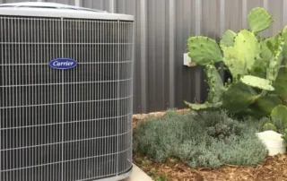 Carrier unit next to cactus