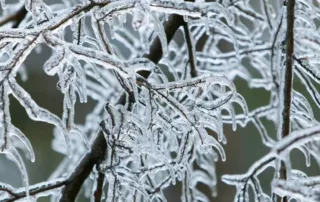 hvac service lessons learned from a winter storm
